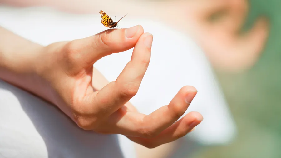 Trattamento energetico Reiki a Bergamo Centro per riequilibrio dei chakra